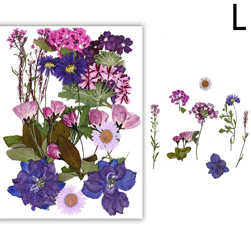 Premium Natural Dried Flower Resin Fillers Real Pressed Flowers For Nail Art Jewelry DIY Crafts 17