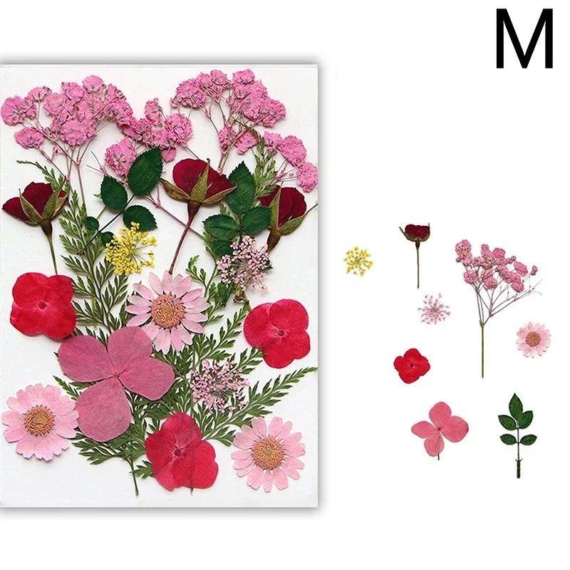 Premium Natural Dried Flower Resin Fillers Real Pressed Flowers For Nail Art Jewelry DIY Crafts 18