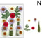 Premium Natural Dried Flower Resin Fillers Real Pressed Flowers For Nail Art Jewelry DIY Crafts 19