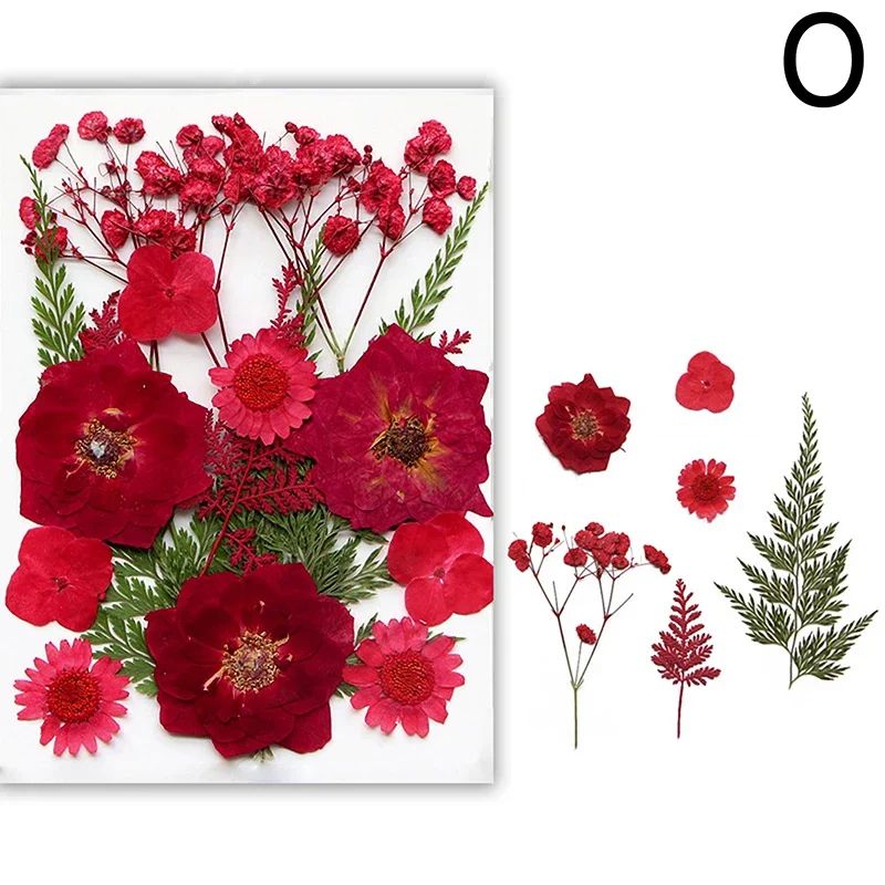 Premium Natural Dried Flower Resin Fillers Real Pressed Flowers For Nail Art Jewelry DIY Crafts 20