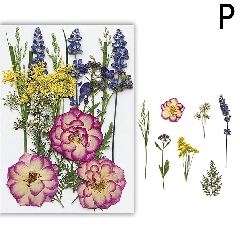 Premium Natural Dried Flower Resin Fillers Real Pressed Flowers For Nail Art Jewelry DIY Crafts 21