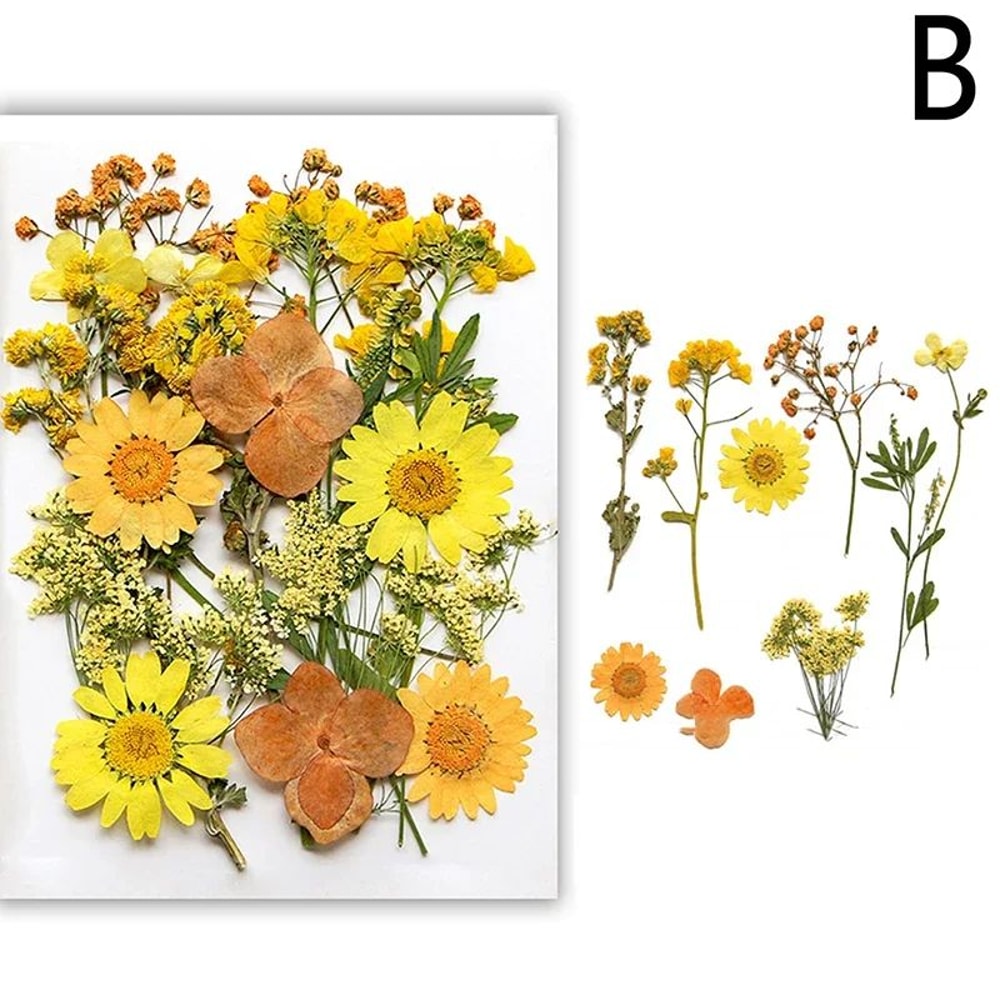 Premium Natural Dried Flower Resin Fillers Real Pressed Flowers For Nail Art Jewelry DIY Crafts 7