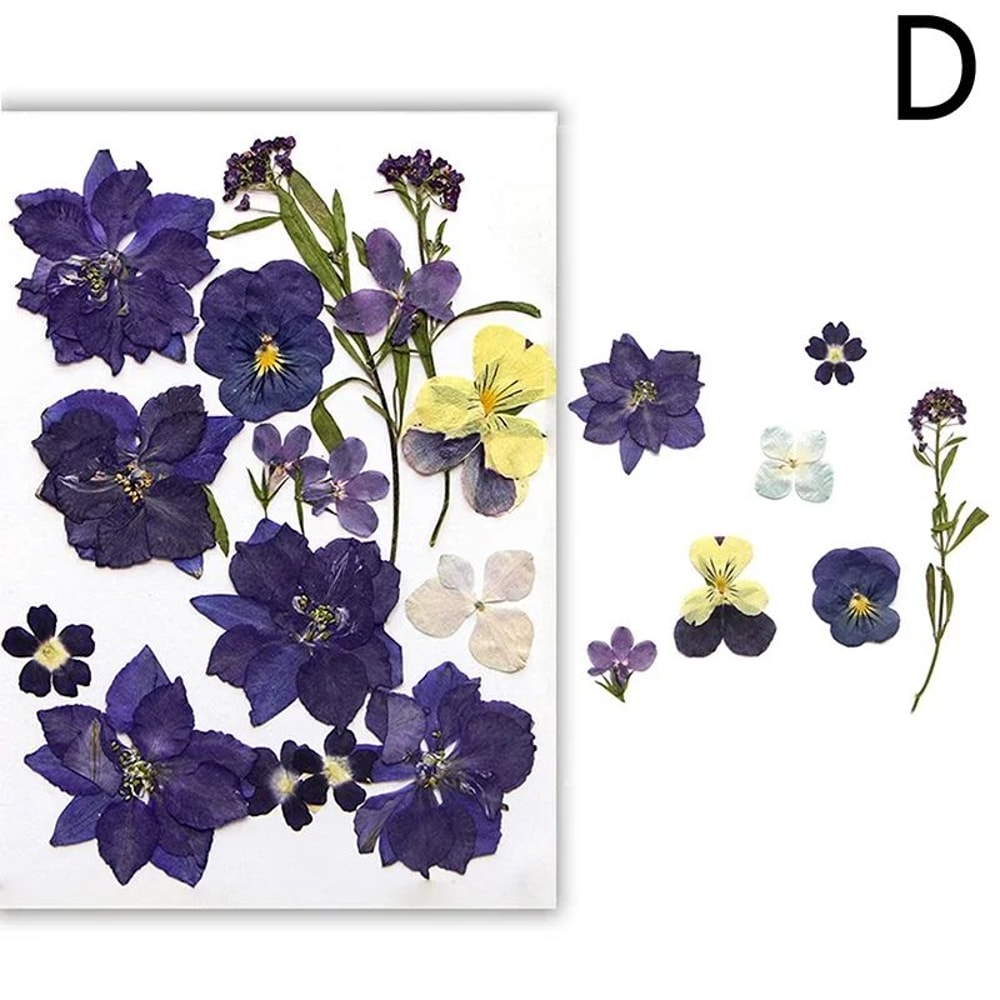 Premium Natural Dried Flower Resin Fillers Real Pressed Flowers For Nail Art Jewelry DIY Crafts 9