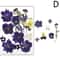 Premium Natural Dried Flower Resin Fillers Real Pressed Flowers For Nail Art Jewelry DIY Crafts 9