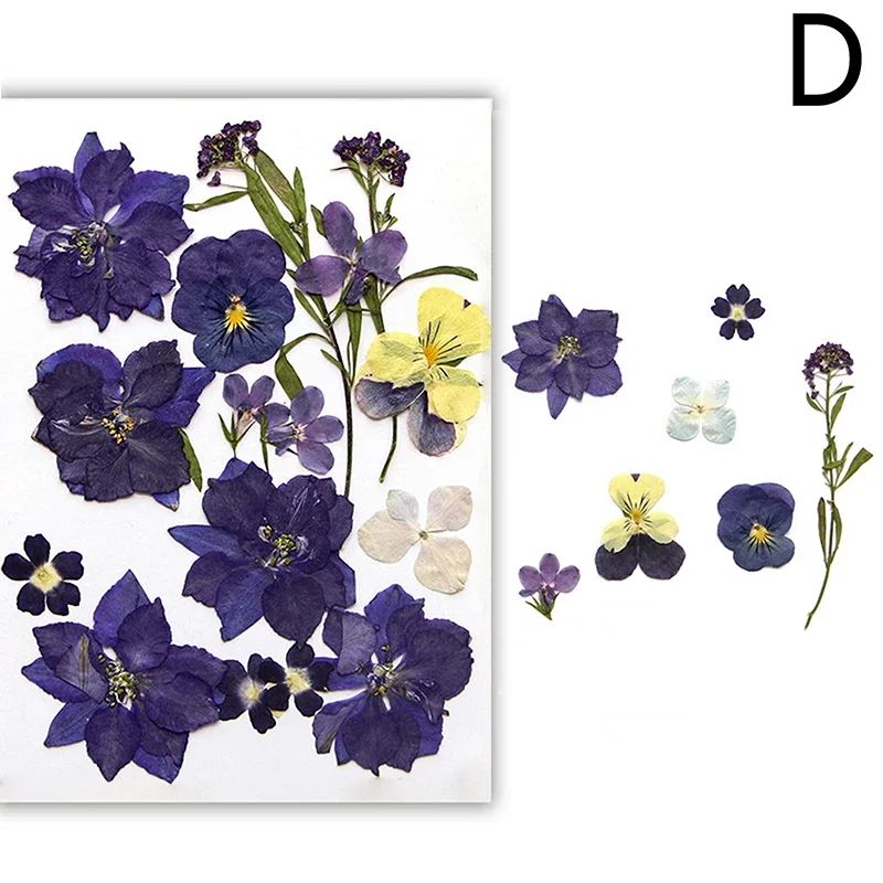 Premium Natural Dried Flower Resin Fillers Real Pressed Flowers For Nail Art Jewelry DIY Crafts 9