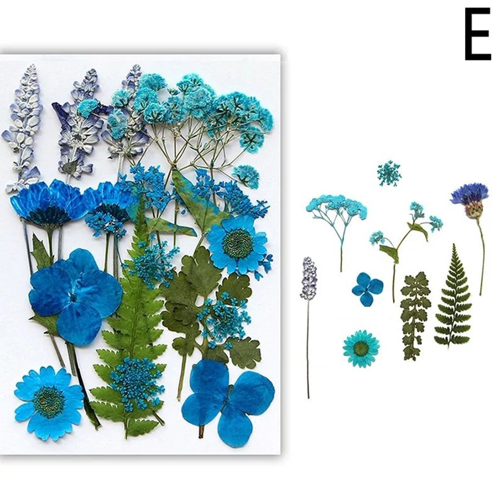 Premium Natural Dried Flower Resin Fillers Real Pressed Flowers For Nail Art Jewelry DIY Crafts 10