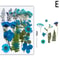 Premium Natural Dried Flower Resin Fillers Real Pressed Flowers For Nail Art Jewelry DIY Crafts 10