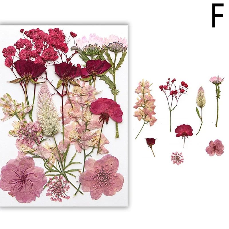 Premium Natural Dried Flower Resin Fillers Real Pressed Flowers For Nail Art Jewelry DIY Crafts 11