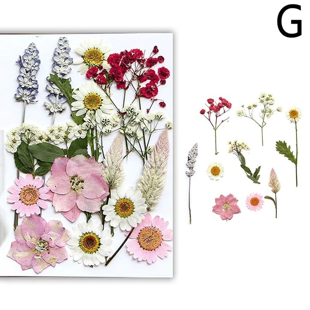 Premium Natural Dried Flower Resin Fillers Real Pressed Flowers For Nail Art Jewelry DIY Crafts 12