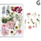 Premium Natural Dried Flower Resin Fillers Real Pressed Flowers For Nail Art Jewelry DIY Crafts 12