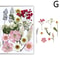 Premium Natural Dried Flower Resin Fillers Real Pressed Flowers For Nail Art Jewelry DIY Crafts 12
