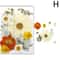 Premium Natural Dried Flower Resin Fillers Real Pressed Flowers For Nail Art Jewelry DIY Crafts 13