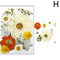 Premium Natural Dried Flower Resin Fillers Real Pressed Flowers For Nail Art Jewelry DIY Crafts 13