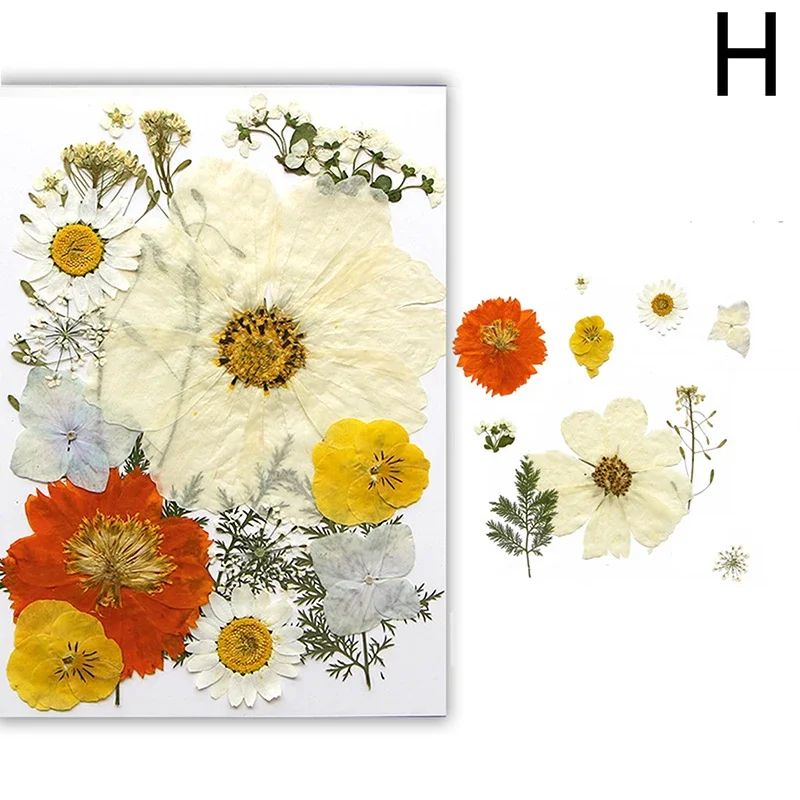 Premium Natural Dried Flower Resin Fillers Real Pressed Flowers For Nail Art Jewelry DIY Crafts 13
