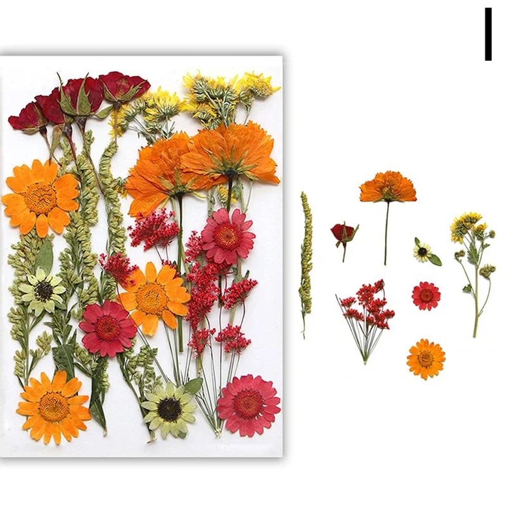 Premium Natural Dried Flower Resin Fillers Real Pressed Flowers For Nail Art Jewelry DIY Crafts 14