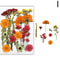 Premium Natural Dried Flower Resin Fillers Real Pressed Flowers For Nail Art Jewelry DIY Crafts 14