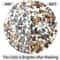 Natural Polished Gravel Pebbles Decorative River Rocks For Plants Aquariums Garden Decor 1