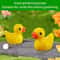 Mini Resin Duck Figurines Set Tiny Yellow Ducks For DIY Crafts Fairy Garden Decor 2
