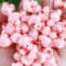 Mini Resin Duck Figurines Set Tiny Yellow Ducks For DIY Crafts Fairy Garden Decor 9