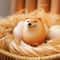 Shiba Inu Egg Desk Toy Squishy Dog Stress Relief Decor Cute Gift 0