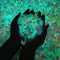 50pcs GlowintheDark Mini Resin Ducks Fairy Garden DIY Miniature Decor 2