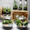 GlowintheDark Mini Resin Duck Set Fairy Garden DIY Miniature Decor 4