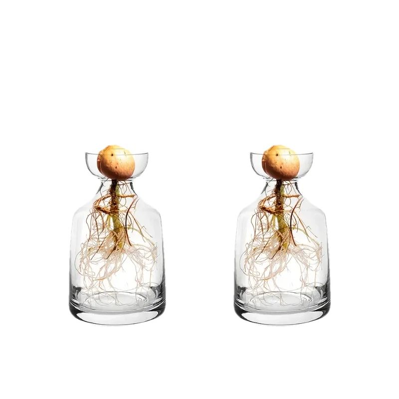 4Piece Avocado Seed Starter Vase Set Glass Growing Kit For Indoor Plant Lovers 2