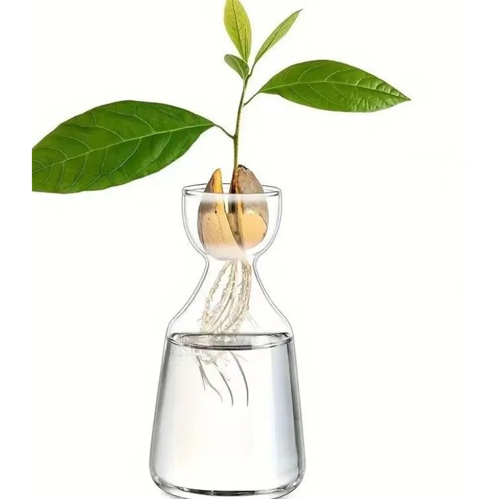 4Piece Avocado Seed Starter Vase Set Glass Growing Kit For Indoor Plant Lovers 3