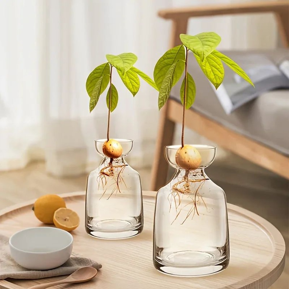 4Piece Avocado Seed Starter Vase Set Glass Growing Kit For Indoor Plant Lovers 0
