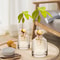 4Piece Avocado Seed Starter Vase Set Glass Growing Kit For Indoor Plant Lovers 0