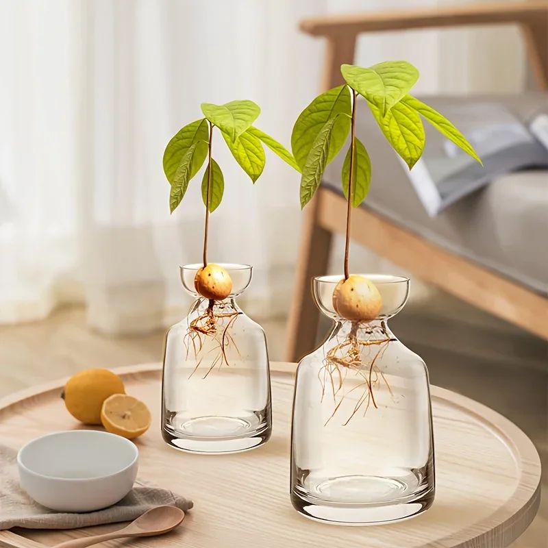 4Piece Avocado Seed Starter Vase Set Glass Growing Kit For Indoor Plant Lovers 0