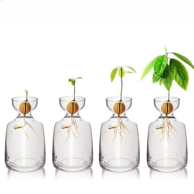 4Piece Avocado Seed Starter Vase Set Glass Growing Kit For Indoor Plant Lovers 1