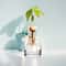 4Piece Avocado Seed Starter Vase Set Glass Growing Kit For Indoor Plant Lovers 4