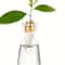 4Piece Avocado Seed Starter Vase Set Glass Growing Kit For Indoor Plant Lovers 7