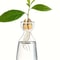 4Piece Avocado Seed Starter Vase Set Glass Growing Kit For Indoor Plant Lovers 7