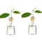 4Piece Avocado Seed Starter Vase Set Glass Growing Kit For Indoor Plant Lovers 8