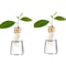 4Piece Avocado Seed Starter Vase Set Glass Growing Kit For Indoor Plant Lovers 8