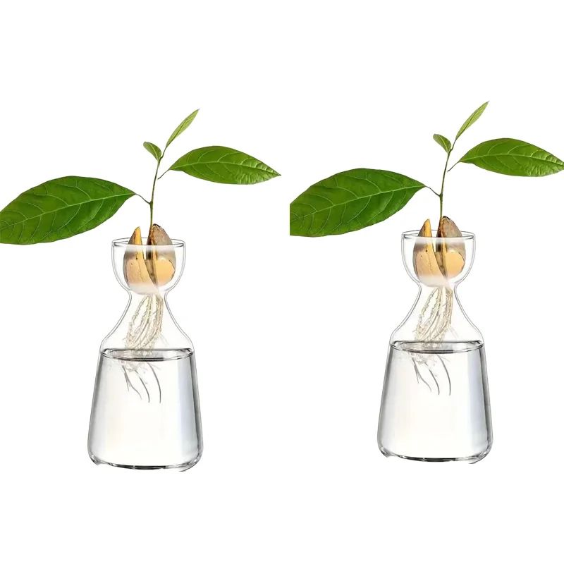 4Piece Avocado Seed Starter Vase Set Glass Growing Kit For Indoor Plant Lovers 8