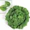Lush Evergreen Ivy Garland Hanging Vines Realistic Silk Leaf Wall Garden Decor 8
