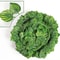 Lush Evergreen Ivy Garland Hanging Vines Realistic Silk Leaf Wall Garden Decor 8