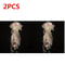 DIY Jellyfish LED Hanging Lamp Colorful BatteryPowered Ceiling Night Light For Bedroom Decor 13