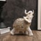 Lucky Elephant Feng Shui Statue Wealth Attraction Decorative Figurine For Home Office 1