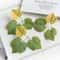 Artificial Grape Leaf Decor Set Silk Green Vine Leaves For Wedding Wreath Home Decoration 1