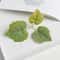 Artificial Grape Leaf Decor Set Silk Green Vine Leaves For Wedding Wreath Home Decoration 2