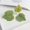 Artificial Grape Leaf Decor Set Silk Green Vine Leaves For Wedding Wreath Home Decoration 2
