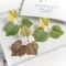Artificial Grape Leaf Decor Set Silk Green Vine Leaves For Wedding Wreath Home Decoration 8
