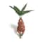 Mandrake Grass Resin Statue Whimsical Garden Figurine For Indoor Outdoor Decor 1