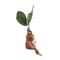 Mandrake Grass Resin Statue Whimsical Garden Figurine For Indoor Outdoor Decor 2