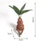 Mandrake Grass Resin Statue Whimsical Garden Figurine For Indoor Outdoor Decor 4