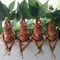 Mandrake Grass Resin Statue Whimsical Garden Figurine For Indoor Outdoor Decor 5